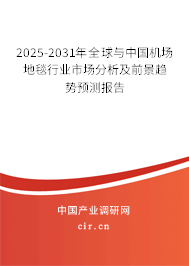 2025-2031年全球與中國機(jī)場地毯行業(yè)市場分析及前景趨勢預(yù)測報告